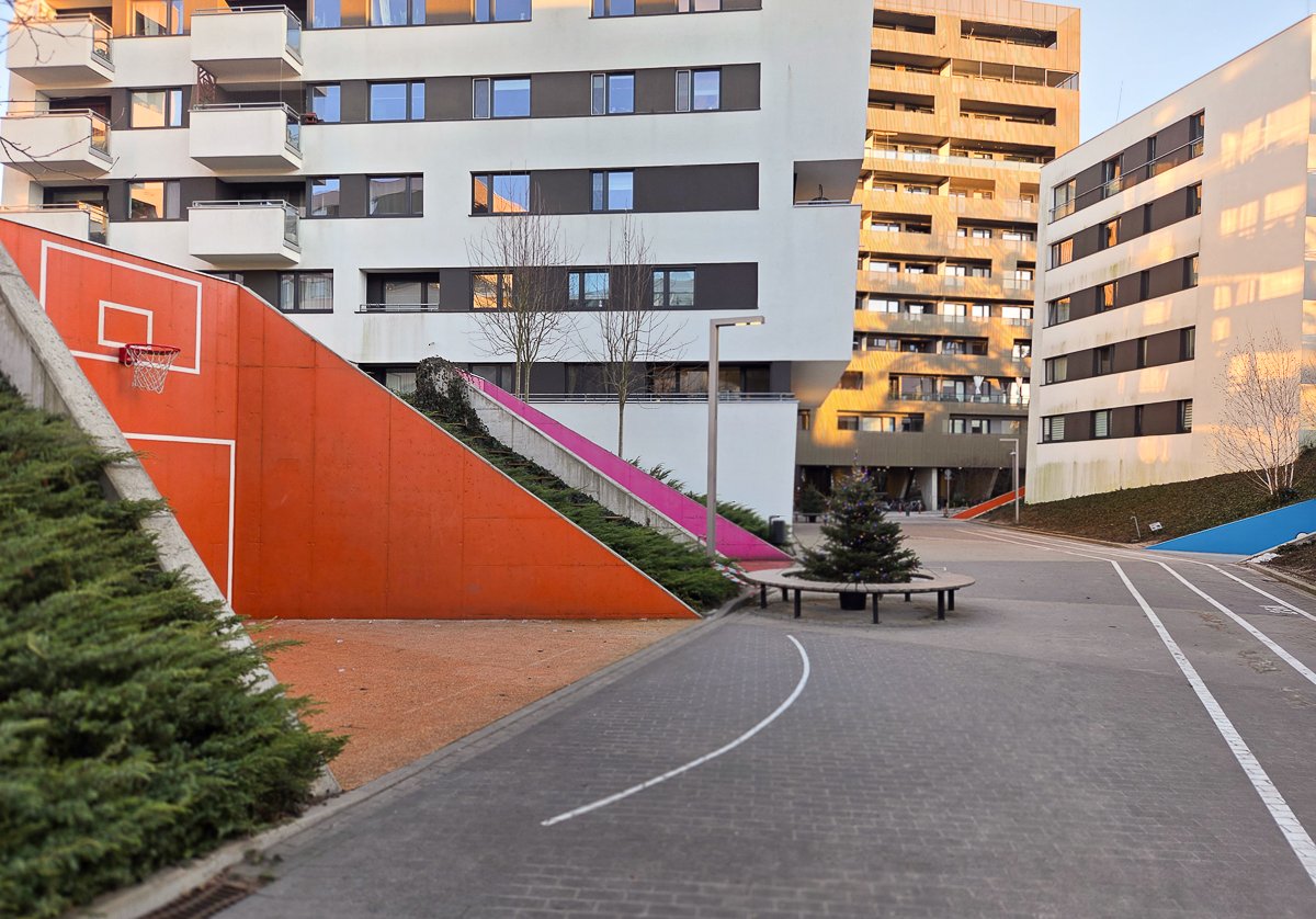 Botaniczna mieszkanie Poznań wynajem